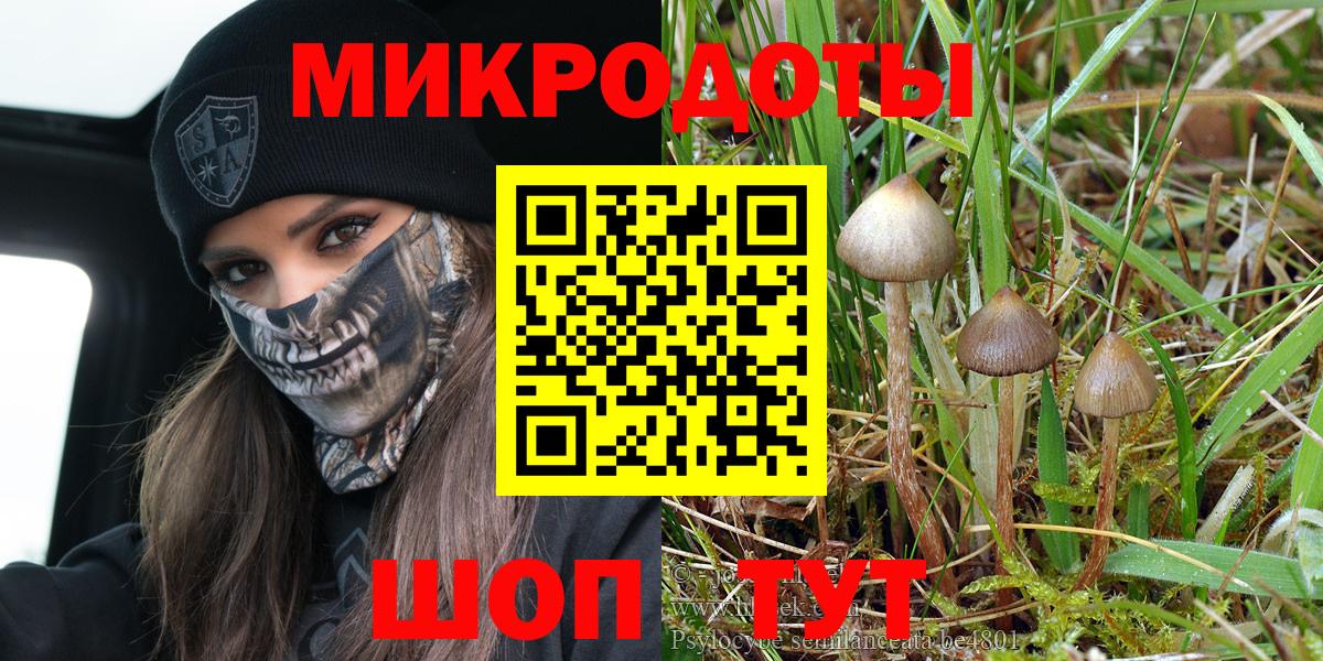 Минеральные Воды  Галлюциногенные грибы Psilocybe  Вход с VPN 